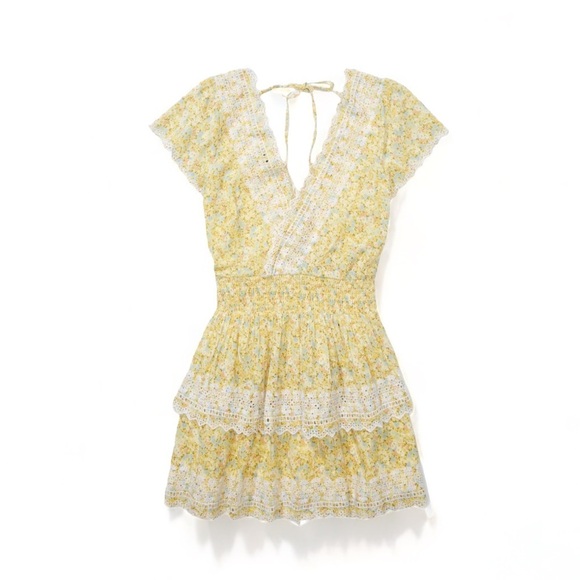 American Eagle Outfitters Dresses & Skirts - AEO Floral  With Embroidery Wrap Mini Dress